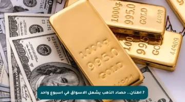 7 أطنان.. حصاد الذهب يشعل الأسواق في أسبوع واحد